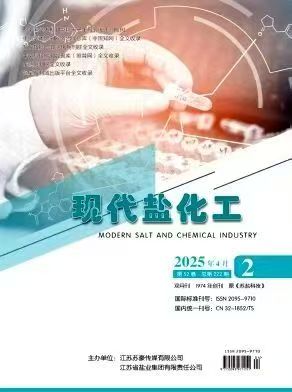 现代盐化工